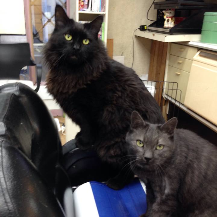 A1c0f1bd b9ae 4ccc aae9 cfaea920f7c1 1515118161359