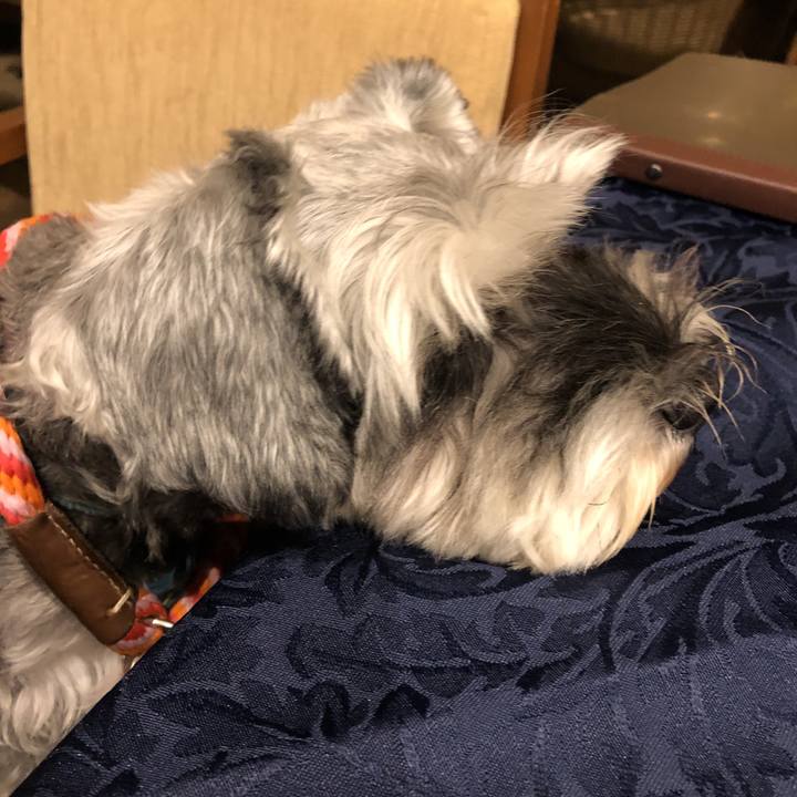 A1c10a8c c69b 4f75 95a0 21dd852a5178 1572080778615