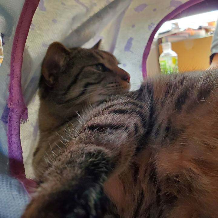 A1c11a35 1c3f 40ac 81d8 82eddf495194 1711625683202