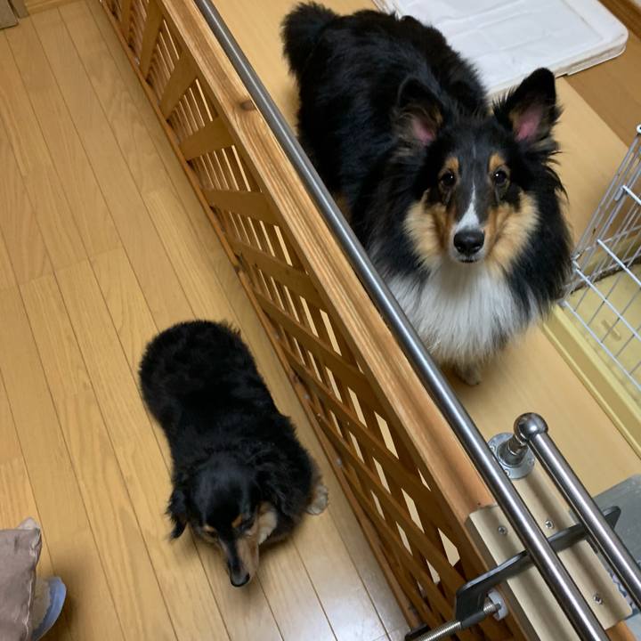 A1c141c0 6a45 4988 ac53 a091249eac6c 1559857530987