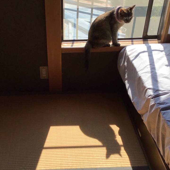 A1c15230 ad58 4440 8d5b e6fd164a241c 1627085832124