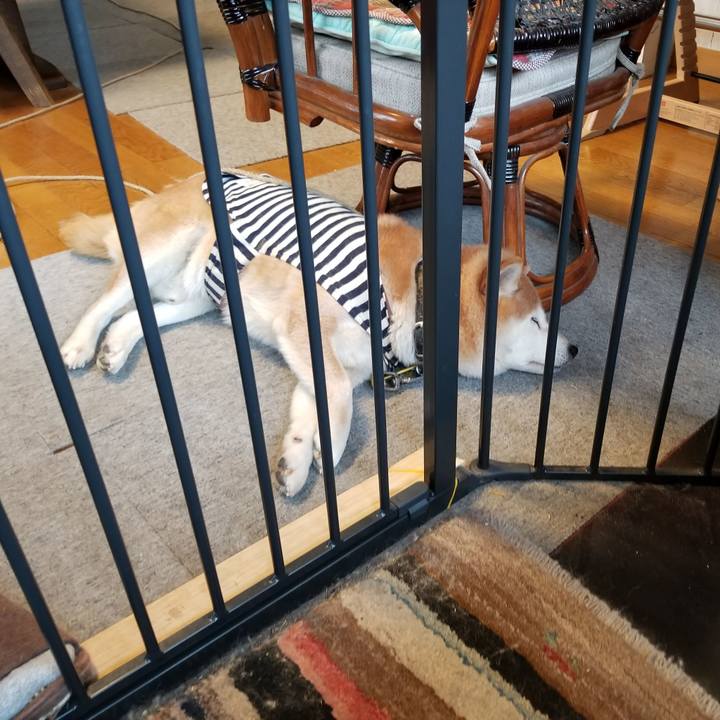 A1c173f6 a041 4616 91d9 f971dcb001e4 1643241293943