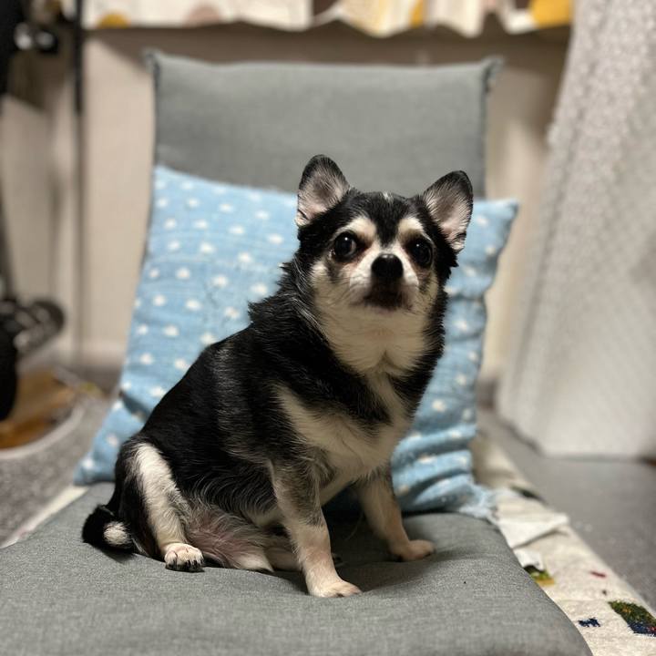 A1c1a5d2 42d2 4e6c 8d1f cbe5f719f20c 1770348375006