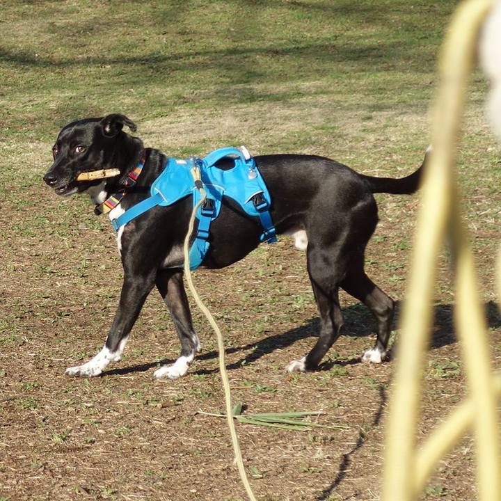 A1c1d7aa 694d 42bc 8b3f ac0cd1f8949f 1615765161408