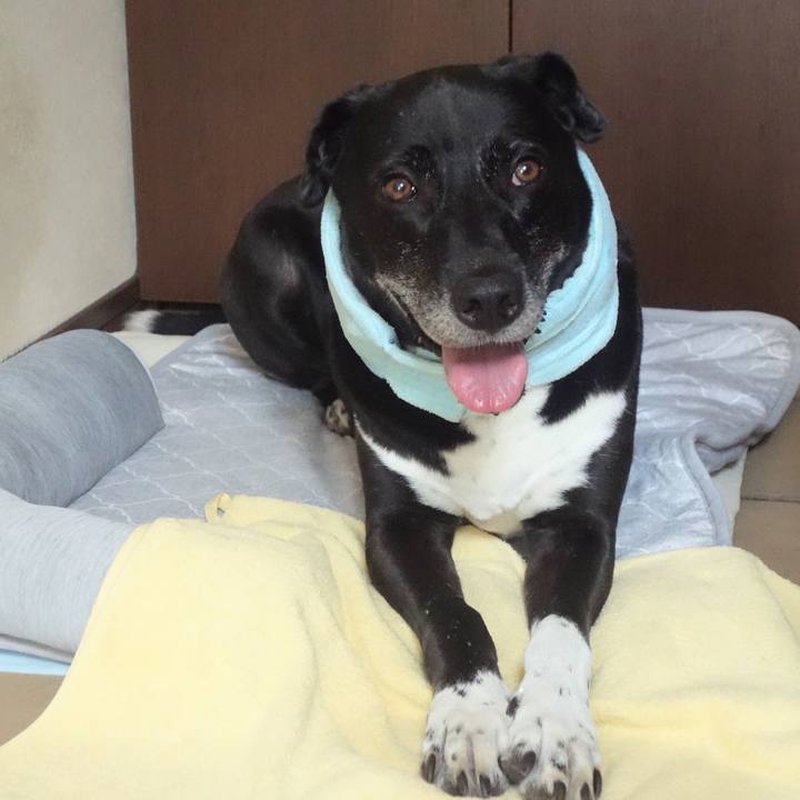 A1c2075b a4b4 43ea 9bfe dd6739e1c3a0 1693613860726