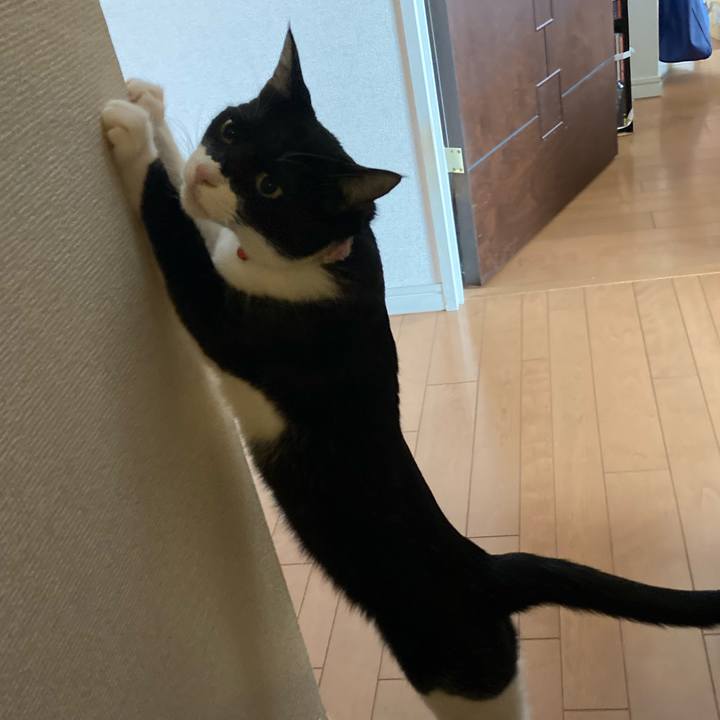 A1c24b0a 696e 4b5f ae93 c407bb9f3743 1618643638854