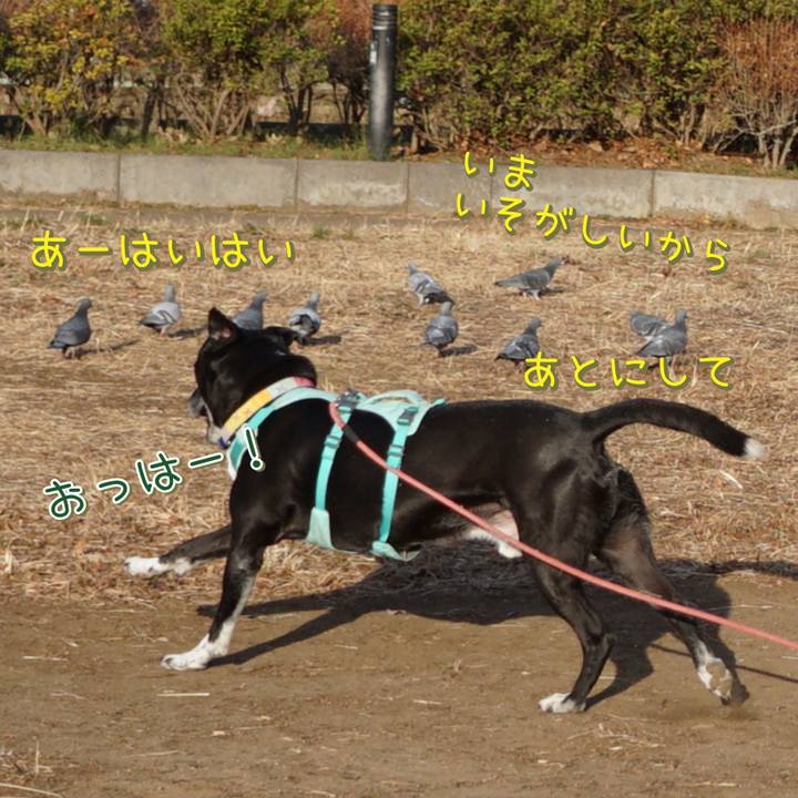 A1c25503 b95c 4d58 aabc a96e283bc8fa 1771807413041