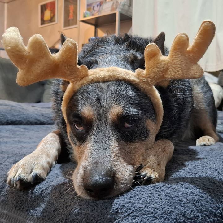 A1c28025 c8b9 4672 bf1b 0453ccf5aa74 1766657086198