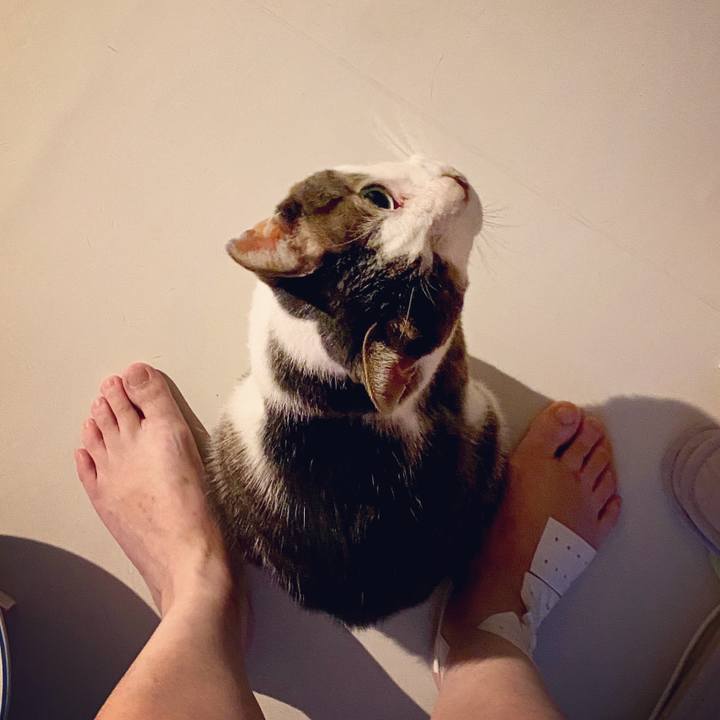 A1c2a4ee bd95 4f25 9e12 0ac84239cf35 1596551074847