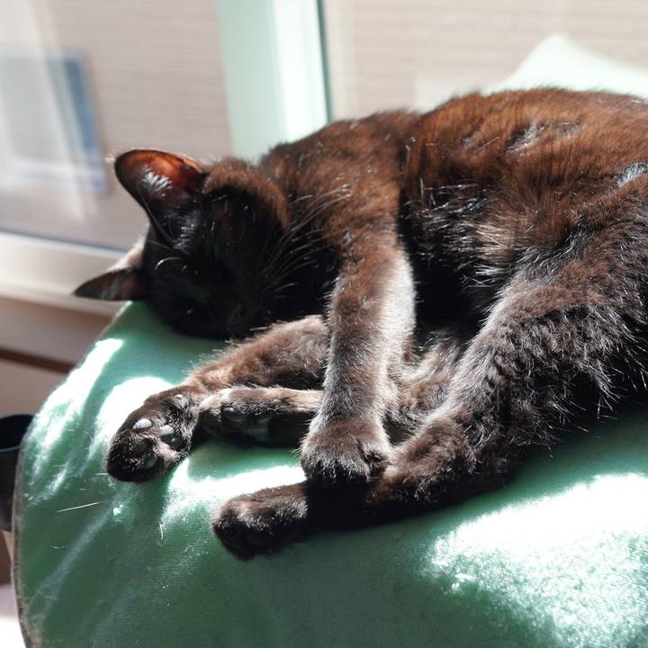 A1c2c1b3 0b40 40aa b8fd 5b460671a6b1 1613537630675