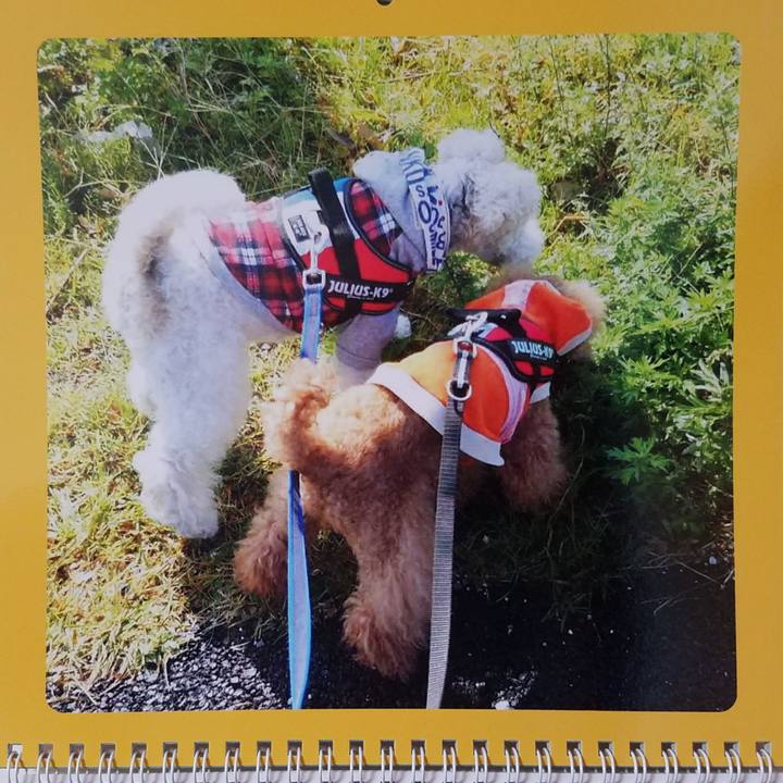 A1c2cb1c a33f 4fbb b6b1 51ae57ef75bd 1538345926151