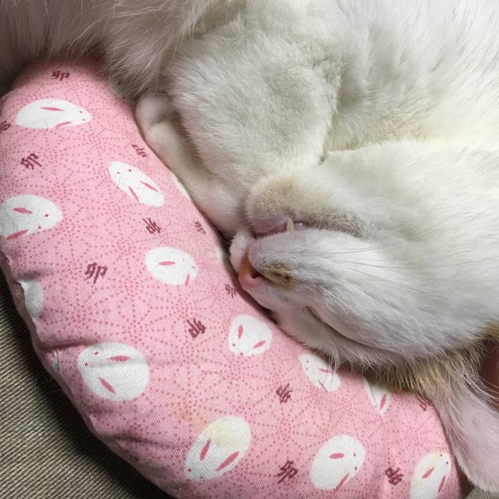 A1c33ade a1db 4048 bf67 d050a5fce714 1556029302407