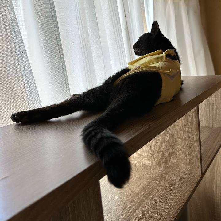 A1c35e5a 5c98 4bd9 973d 2066476016ba 1721609620145