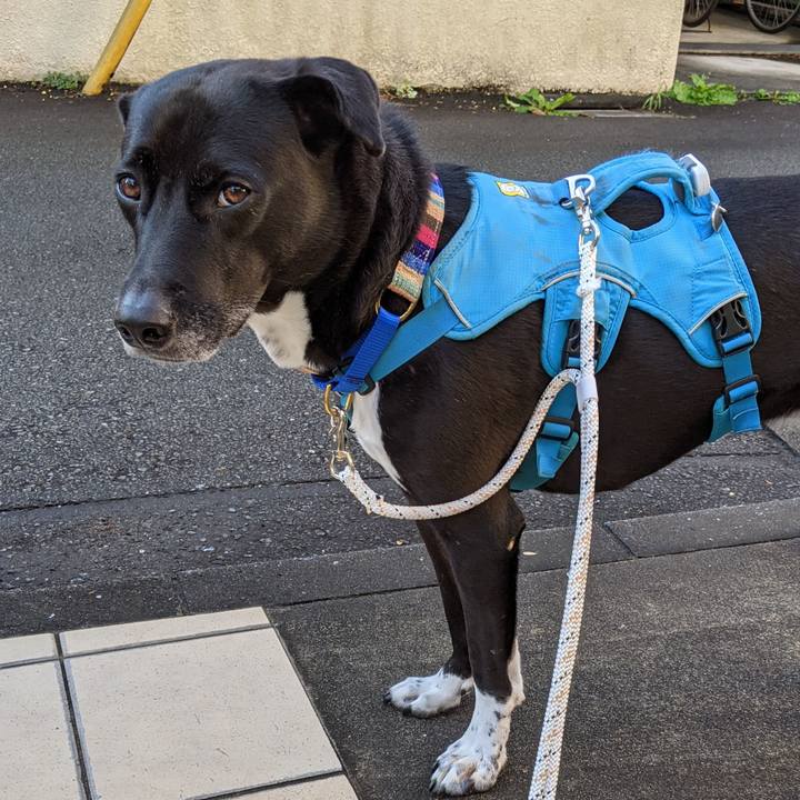 A1c3af6b 70bb 46ca 9ee7 6d2aa9feab42 1634948424197