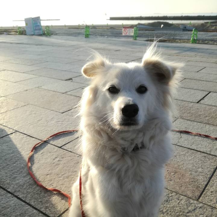 A1c3be56 9433 4262 95f3 f2a59c542591 1519085966463