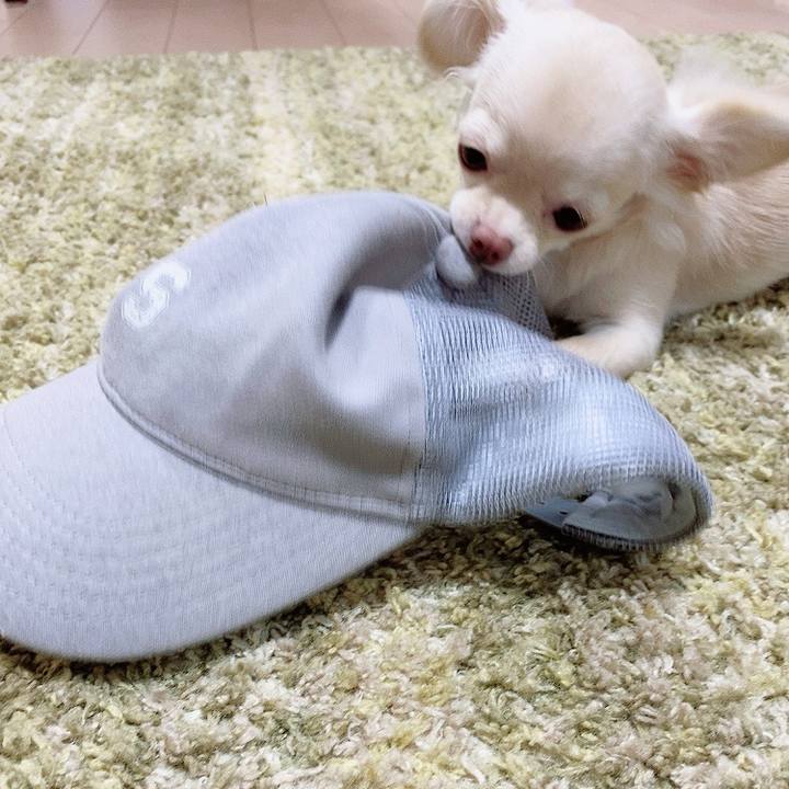 A1c3fa46 735d 4f3b a2b0 953e66f33c20 1594604191115