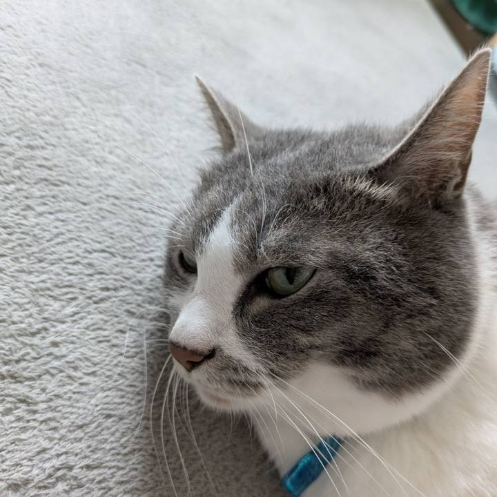 A1c40b5f fba8 4f41 90b4 8c869fcca364 1751529367946