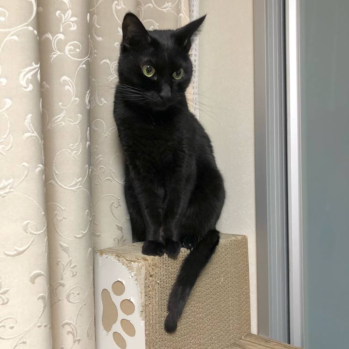 A1c437e5 a3e9 4552 b599 5953b85b9711 1616762650238