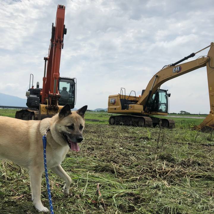 A1c4541d 02aa 49e8 8630 a760ffbf4c44 1624105291512