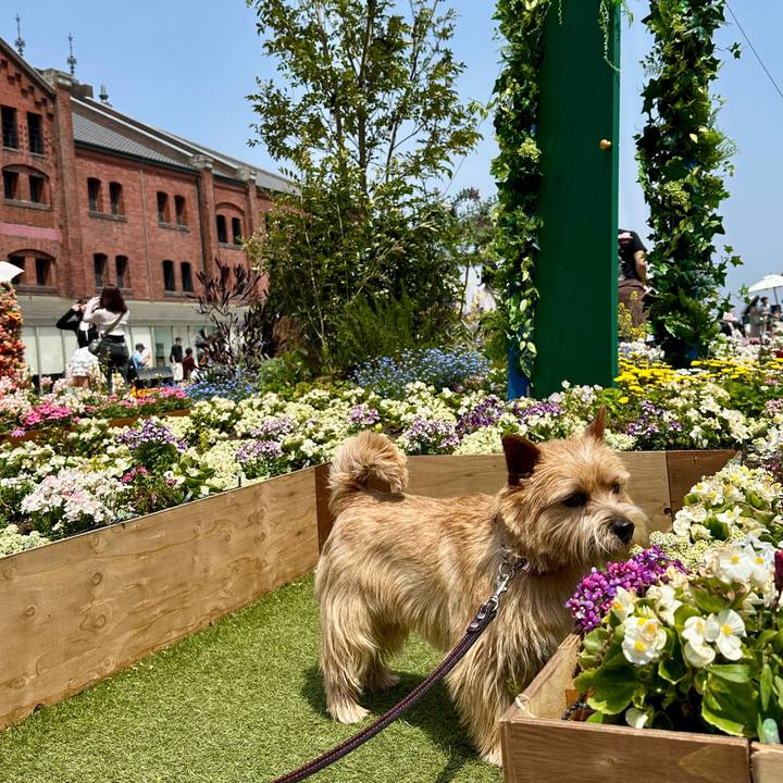 A1c460c2 94c1 4f8e 8c9b 3db91605fe79 1745120943057