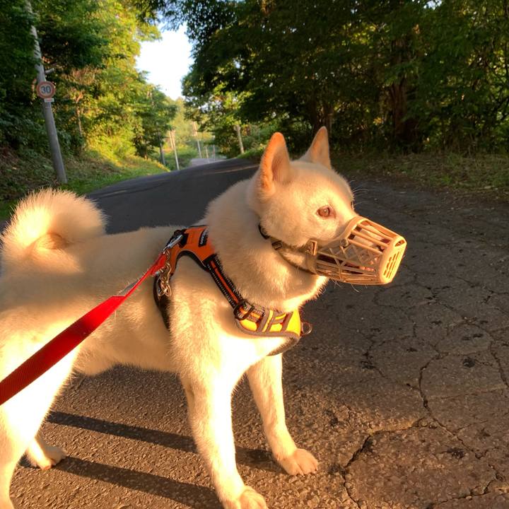 A1c468dc 2ce3 4dbc afce 9d313f2b355b 1626640700027