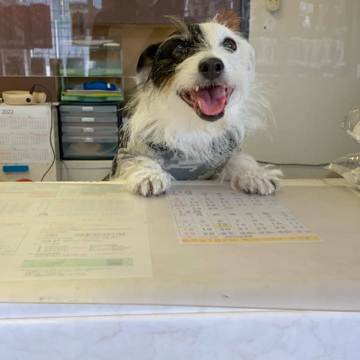 A1c48845 1815 468f 9a3f 015e1b36f468 1667441103987