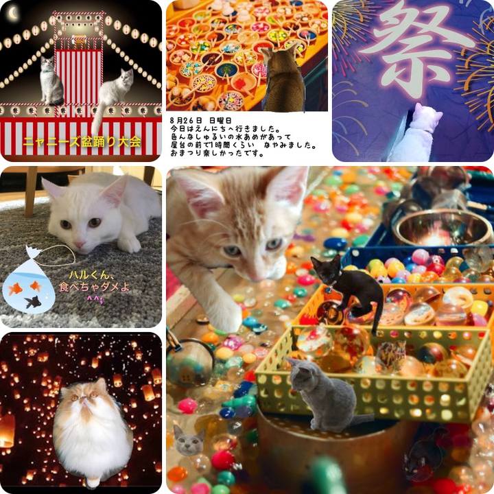 A1c49ec5 c7ff 4fe2 81a4 66c5d17a8d15 1537244326288