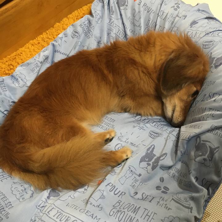 A1c4a22b 8d45 4fdb bfa2 21bf95c7732c 1629379186608