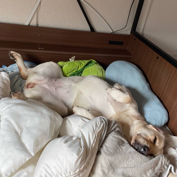 A1c4ecf2 8512 4341 902b 5d2578a63142 1663057207976