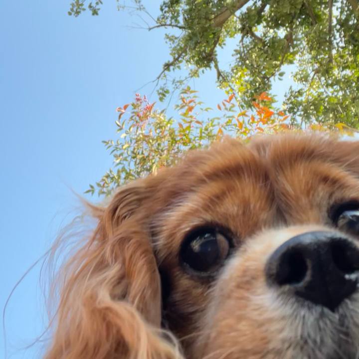 A1c50b5b bea5 49b8 b035 16573693dc03 1701048084357