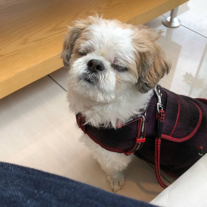 A1c50ee1 256e 481d aacd 20044bfa9117 1571460995270