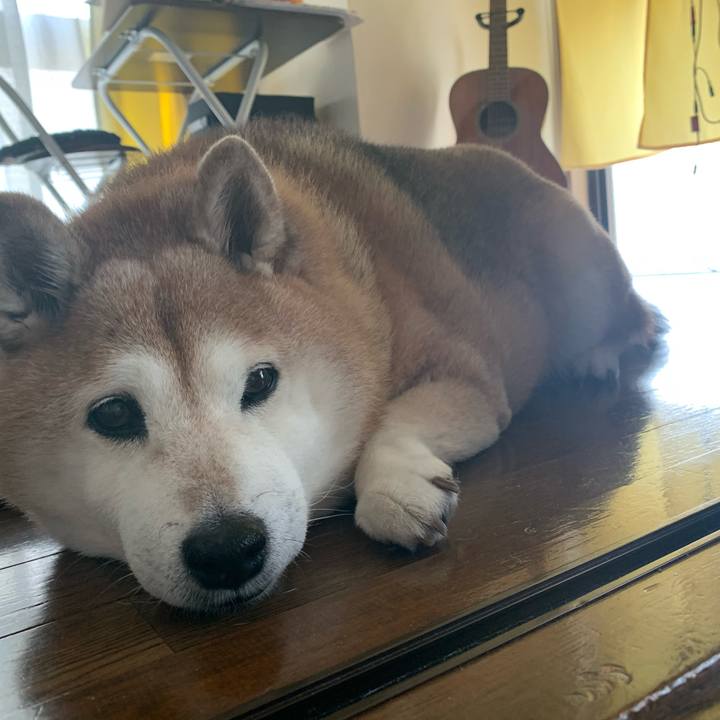 A1c51f88 c155 48c5 bfc9 0e7eb76eebfa 1588391001448