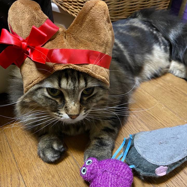 A1c52776 e120 4ded b718 73f469075013 1581654167628