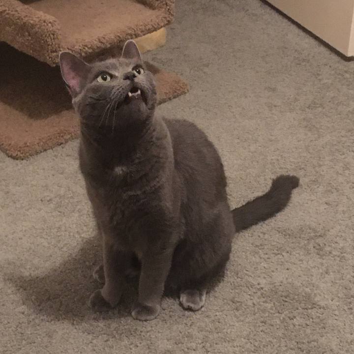 A1c53549 b78f 4b7f 98f0 320c7d3e9d82 1658534436919