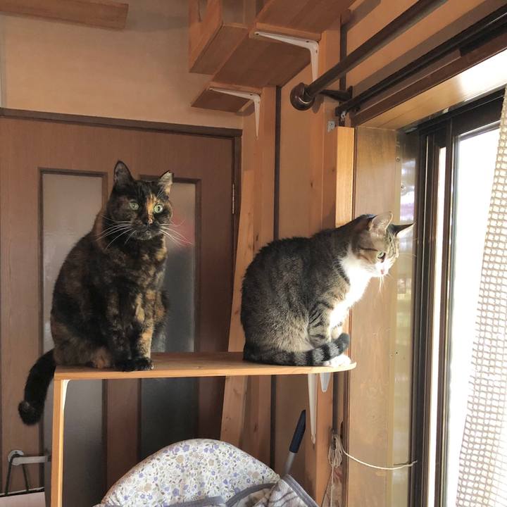 A1c55009 6a8b 435d b14b 315673dba69a 1701861636027