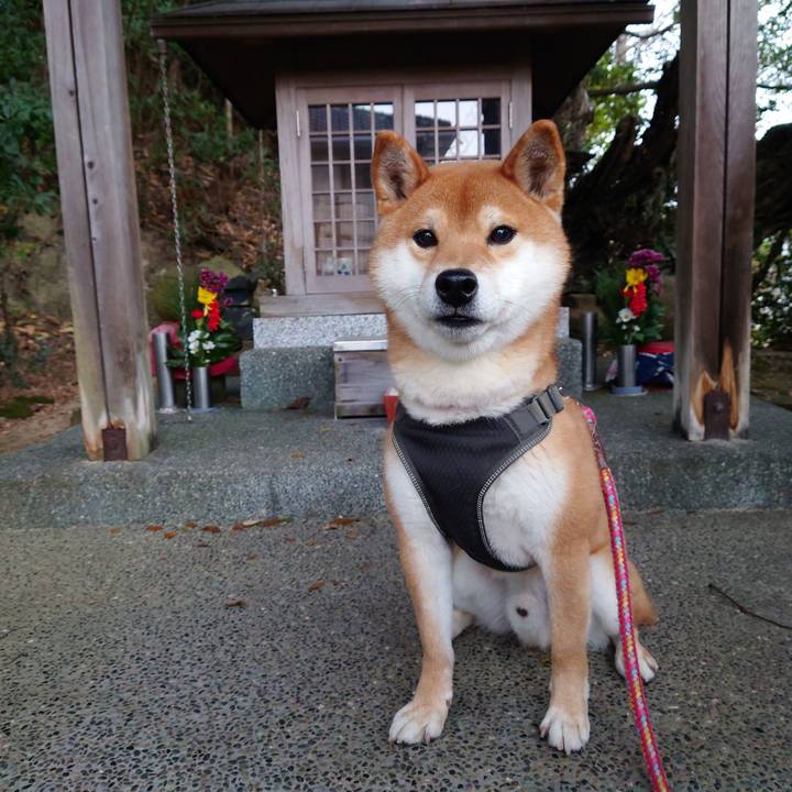 A1c56e22 fb7d 4c3b 872c 2b6db0fee337 1768109960526