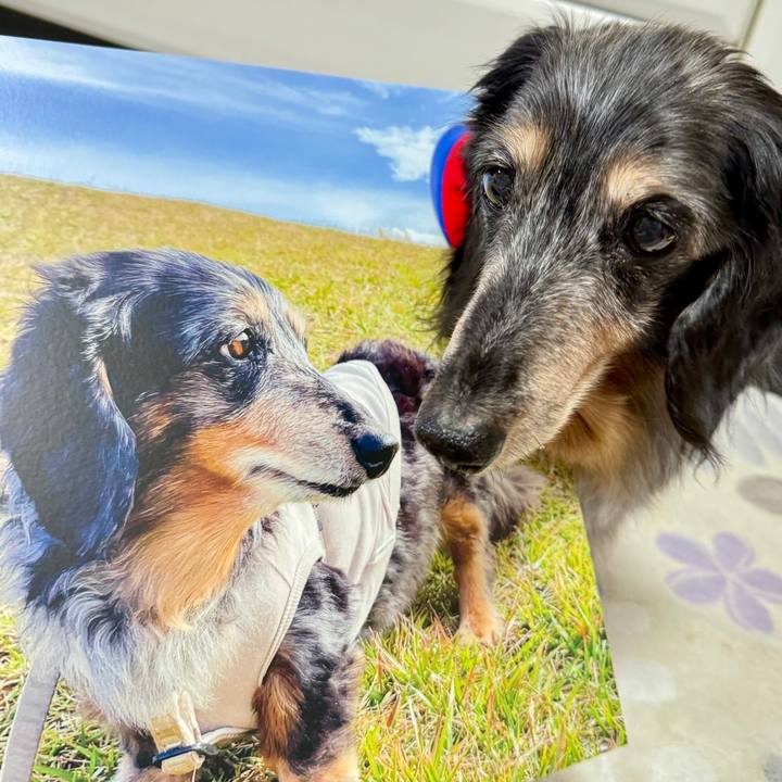 A1c59bee ab8c 4ec4 b2d5 668d32322532 1762340076581