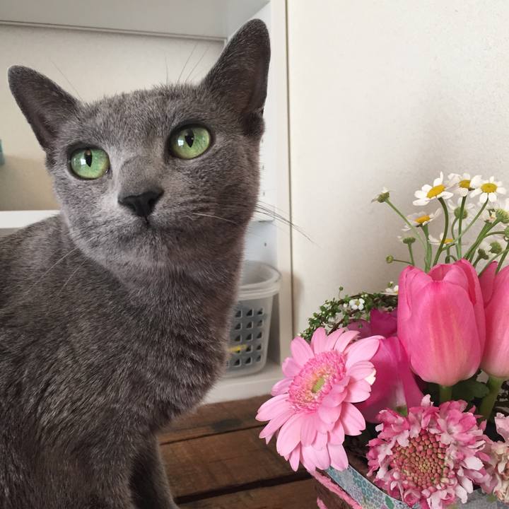 A1c5ae16 dc28 41cc 989e 5083707b9e86 1518922195659