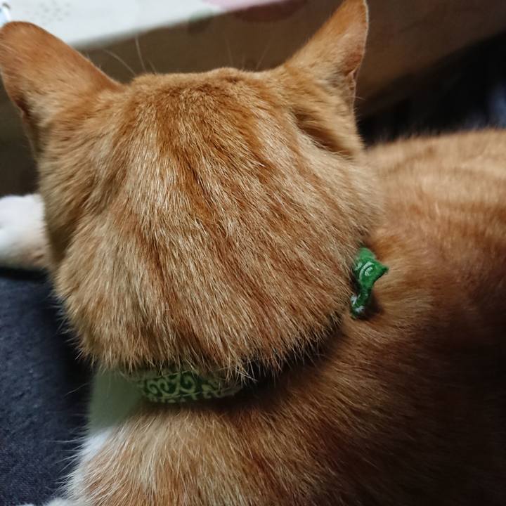 A1c5b5bd 9f2f 4668 9d58 802d8a01a110 1584222458306