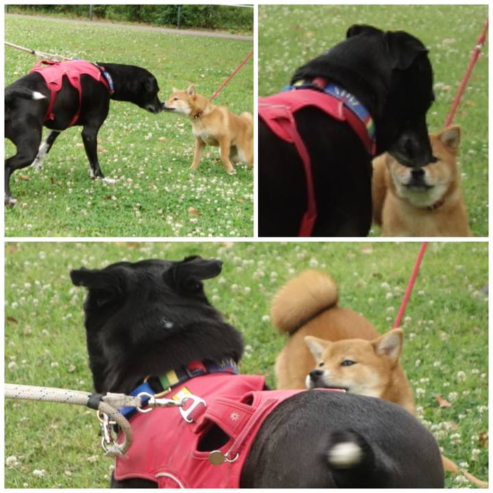 A1c5c7dc aa80 4cd2 8340 7ee2f7fdd41e 1684456742773