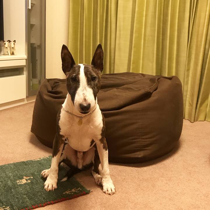 A1c5ef79 53a9 495b a24a cf756558e37e 1511692987178