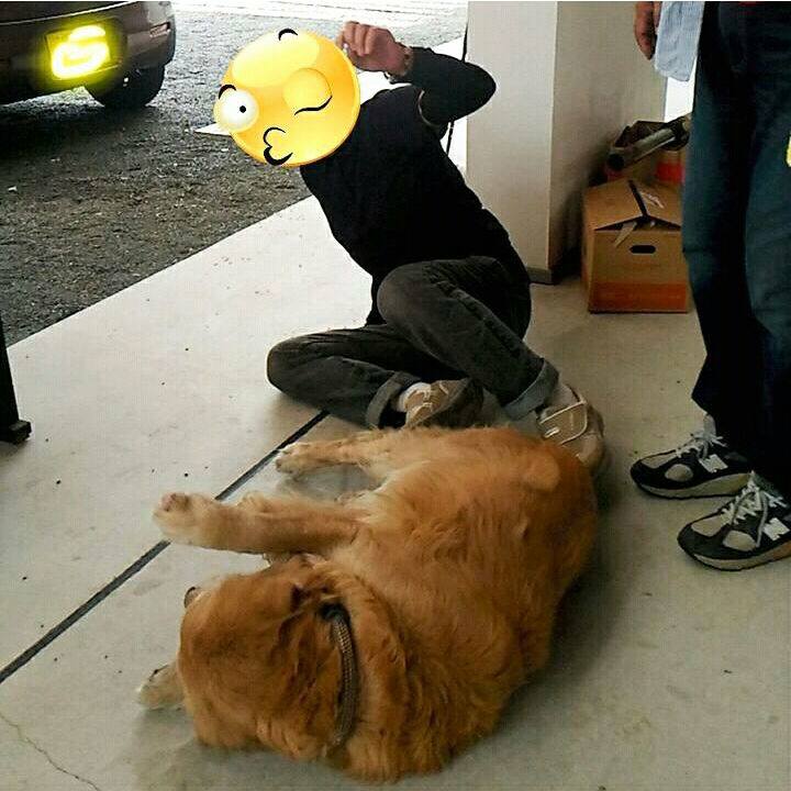 A1c5fdc3 faa2 4cfb 8b3e 9763bdcc0863 1567341112620