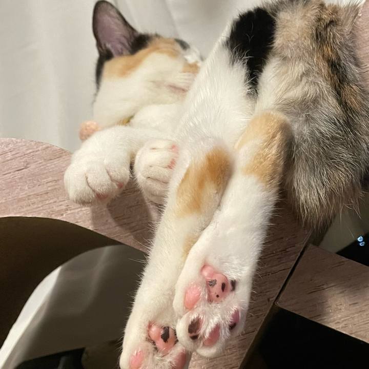 A1c6039e 7491 41a3 91fc 23dd83da8f0b 1669021601982