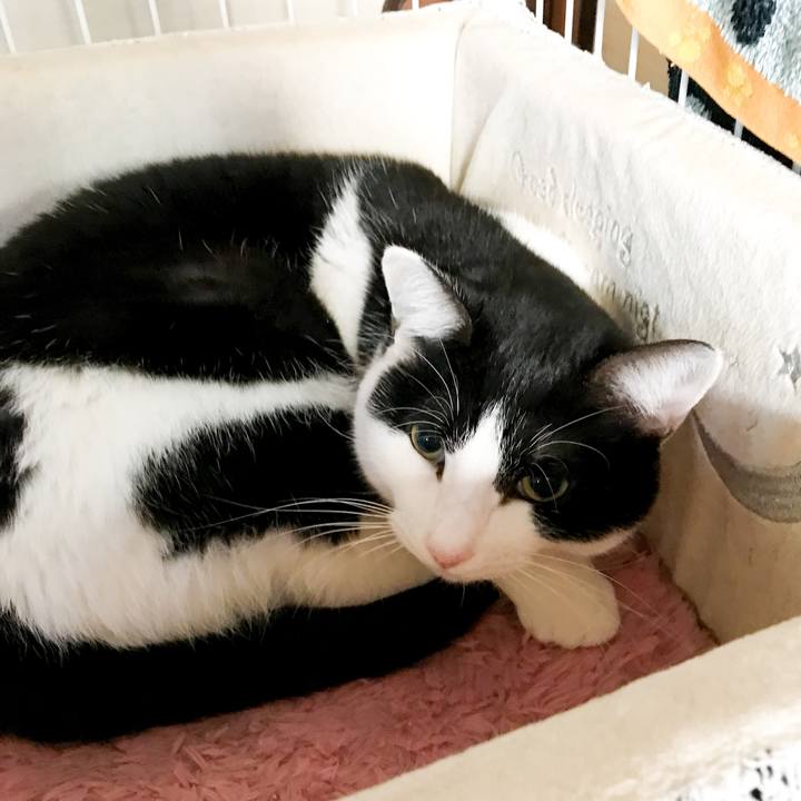 A1c619a1 13d3 4727 8f21 c7bdffc2b93d 1516323201278