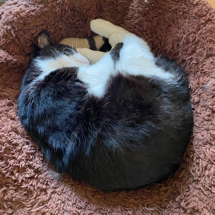 A1c62476 0a22 4bfb 953a a33f7b787b29 1704429123407