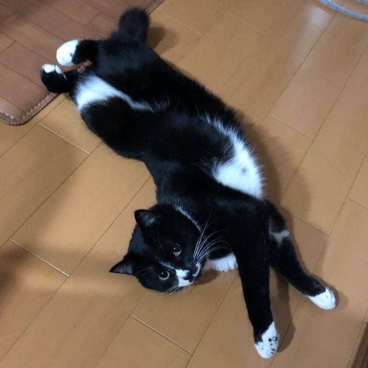 A1c63524 249a 4999 bbec 738a2682acf1 1552803913980