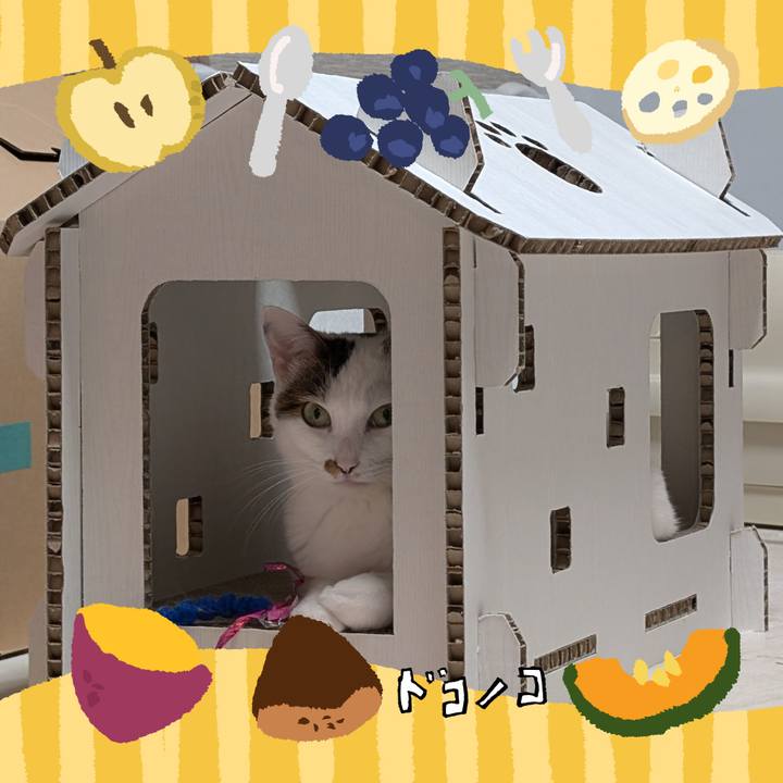 A1c68223 5187 46c6 b082 06da38831d3a 1726814205824