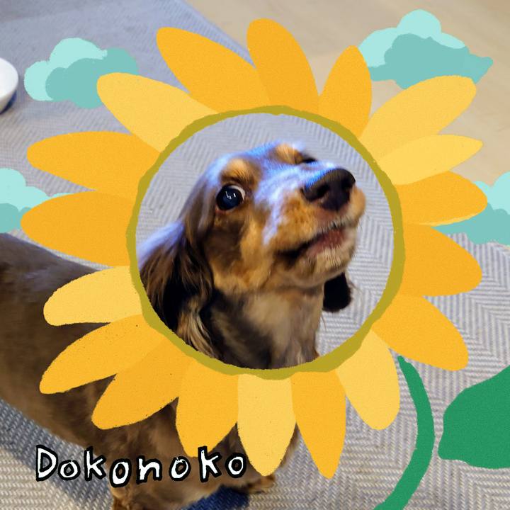 A1c688e8 5526 49c0 9490 9587b9d2d7ea 1723256583247