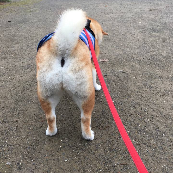 A1c69df7 8a87 4b8d a7eb 7295e25e1c3c 1595119193488