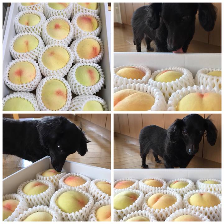 A1c6c199 db85 43a9 8b03 7938350657ea 1532561231576